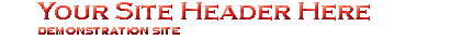 Electronic commerce for the firearms dealer FFL